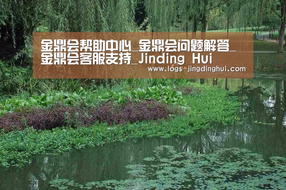 案例展示一
