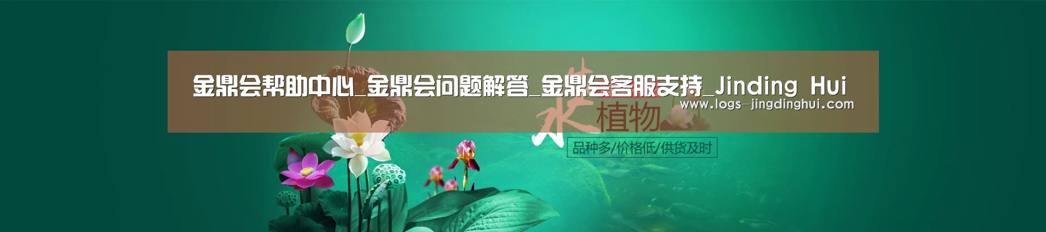 鲜花水草花卉网站模板